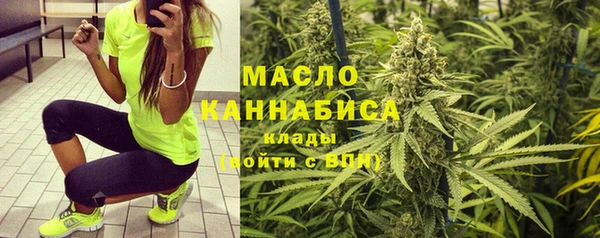 индика Майский
