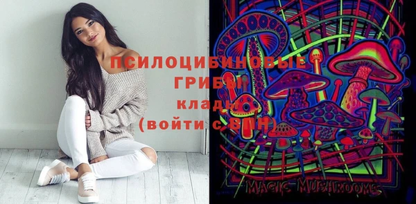 индика Майский