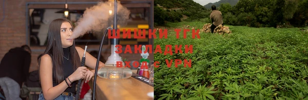 индика Майский
