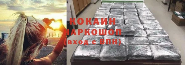 индика Майский